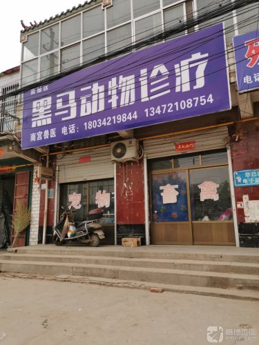 黑马动物诊疗
