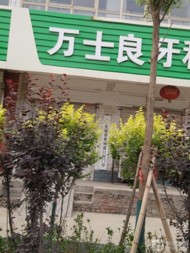无极县里城道口腔门诊