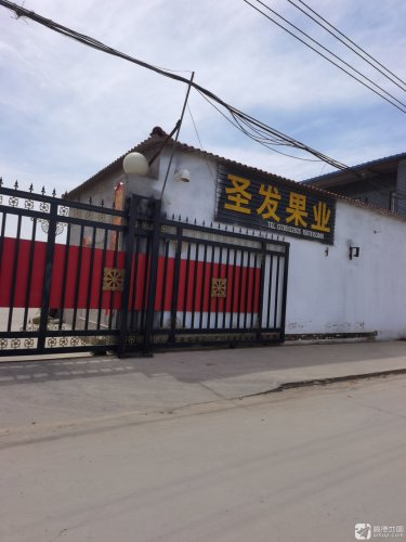 圣发果业