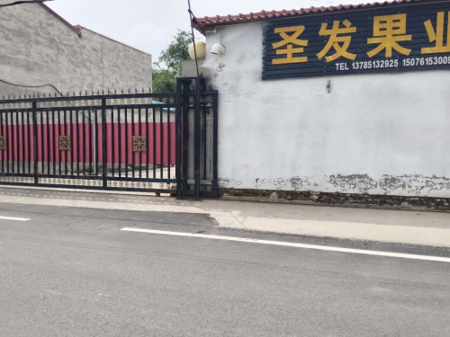 圣发果业