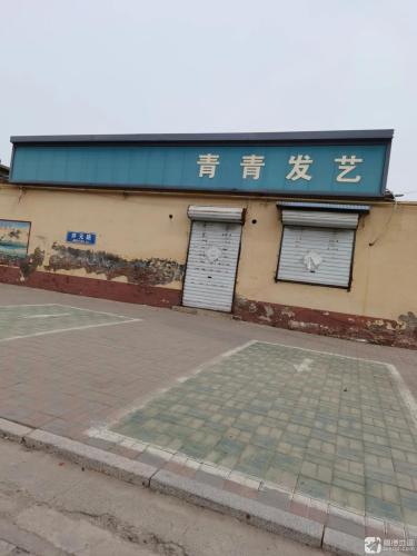 青青发艺