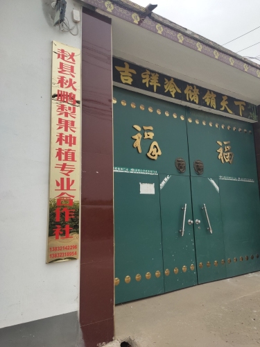 赵县秋鹏梨果种植专业合作社