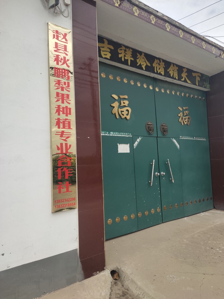 赵县秋鹏梨果种植专业合作社