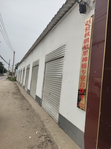 赵县秋鹏梨果种植专业合作社
