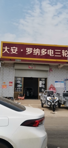 大安·罗纳多电动三轮车