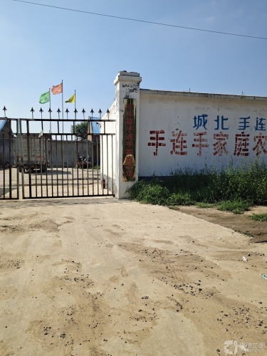 柏乡县手连手家庭农场