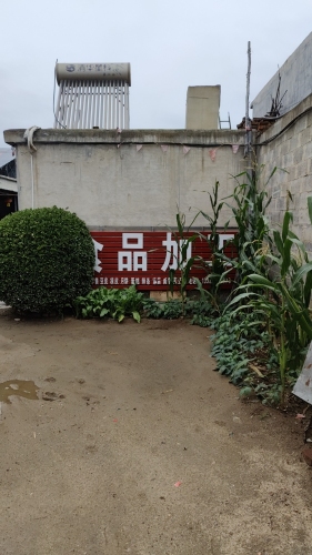 食品加工