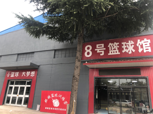 小飞鹿篮球训练营~鹿泉8号篮球馆