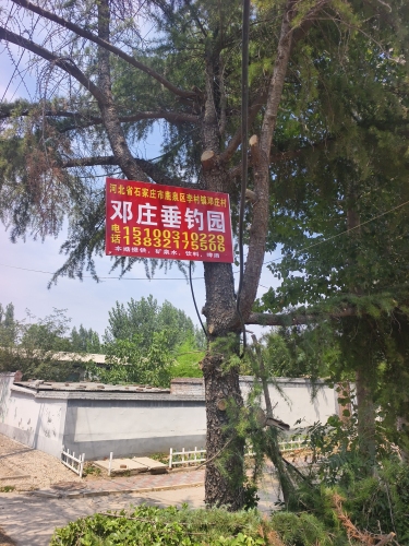 邓庄垂钓园