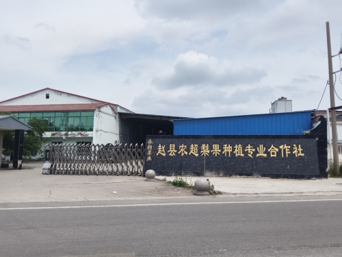 永朝果品库