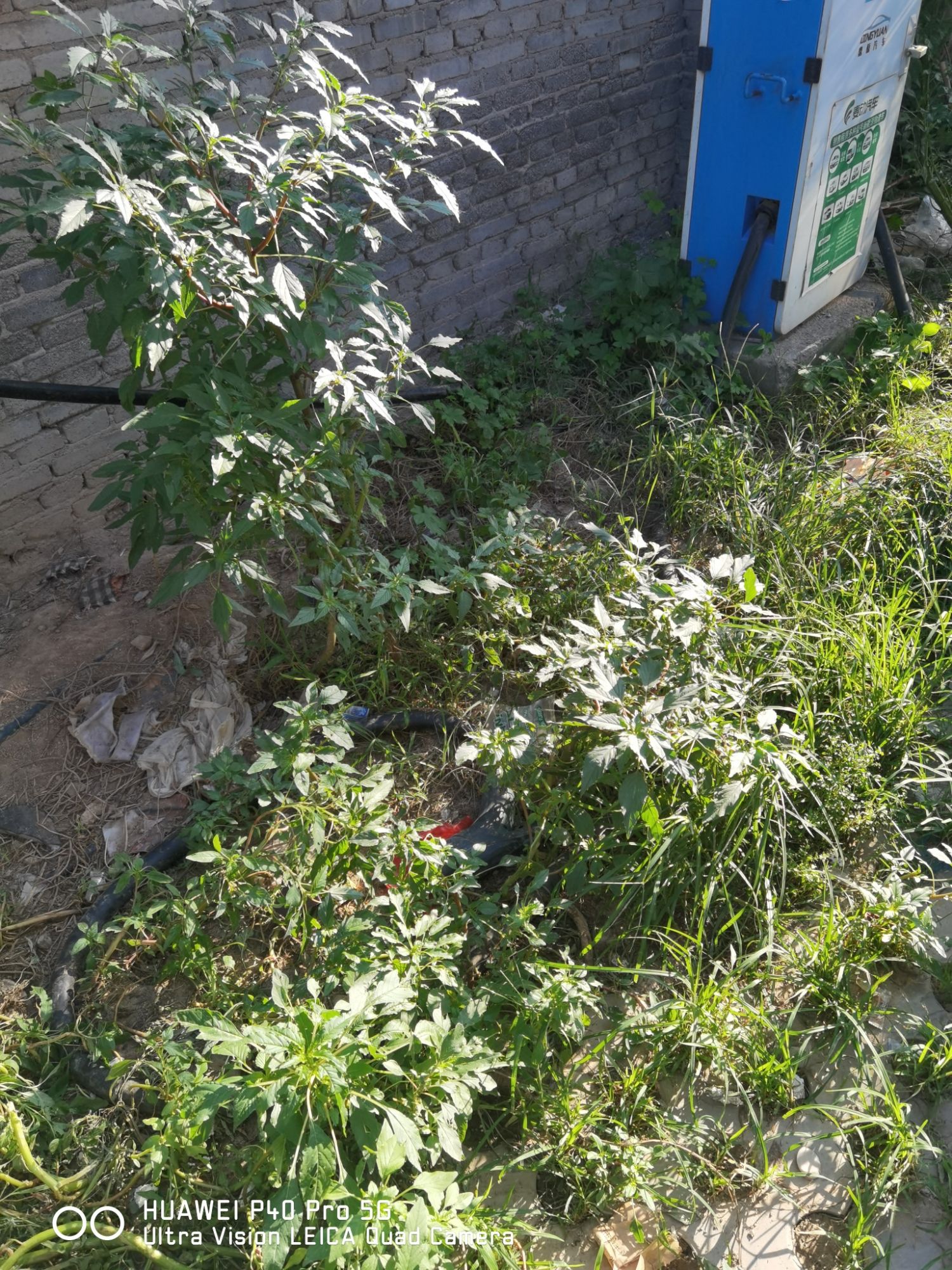 雨润电动汽车充电站
