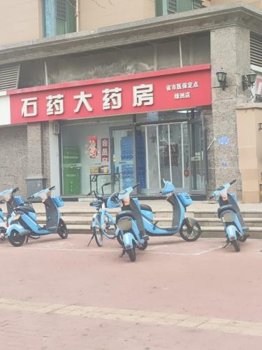 石药大药房(绿洲店)