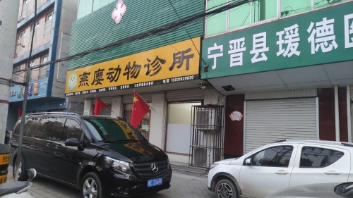 宁晋县瑗德医养服务有限公司