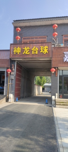神龙台球俱乐部(美院店)