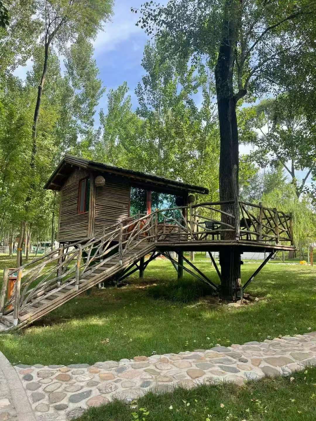 树桥公园房车露营基地