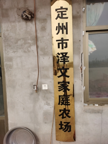 定州市泽文家庭农场
