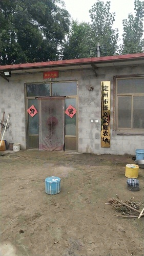 定州市泽文家庭农场