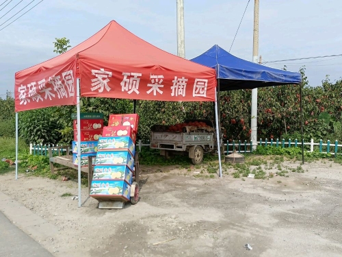 家硕采摘园