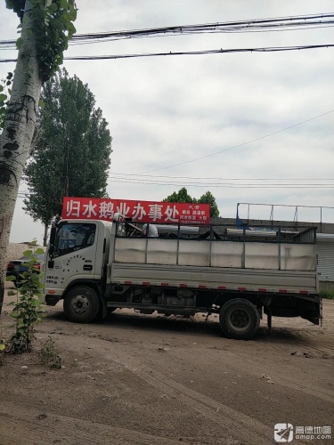 辛集市归水鹅业办事处