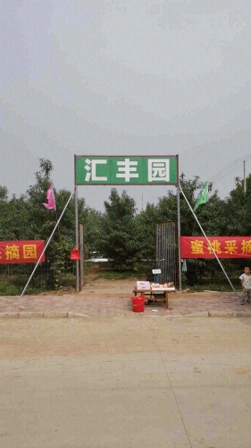 汇丰园采摘