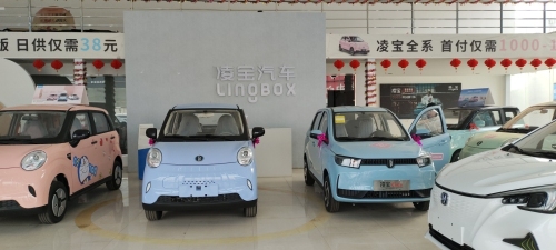 凌宝汽车(晋州旗舰店)