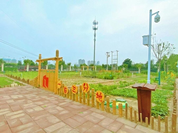 高新区第一实验学校小学部