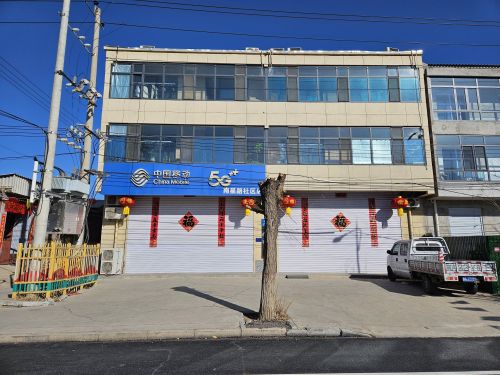 中国移动(南星路社区店)