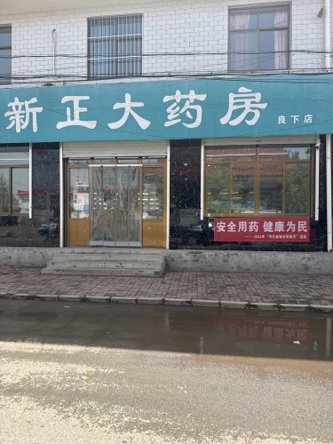 新正大药房(良下店)