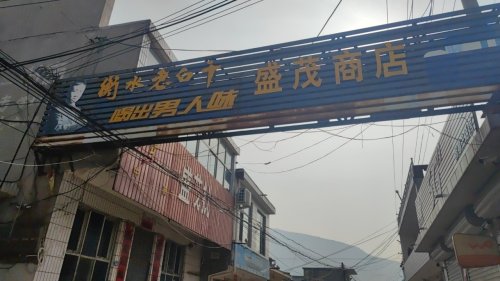测鱼村盛茂商店