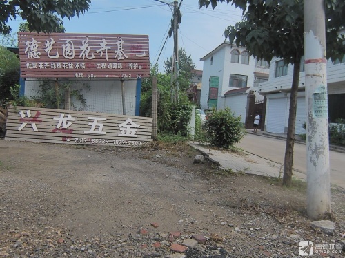 德艺园花卉基地