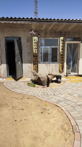 石家庄千禾园艺