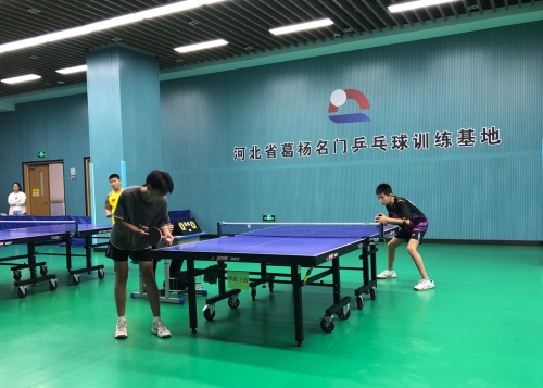 河北省葛杨名门乒乓球训练基地(正定校区)