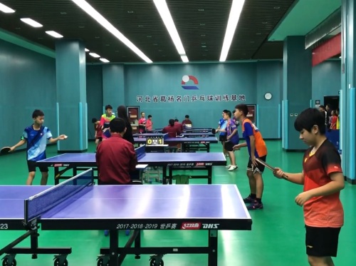 河北省葛杨名门乒乓球训练基地(正定校区)