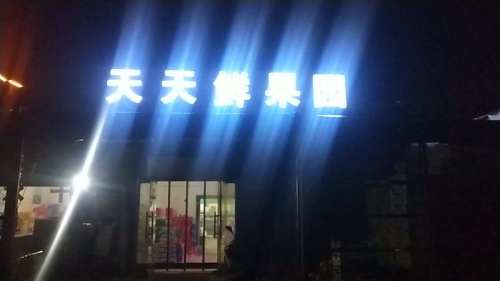 天天鲜果园(定魏线店)