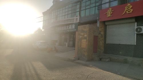 曲阳旭园大药房