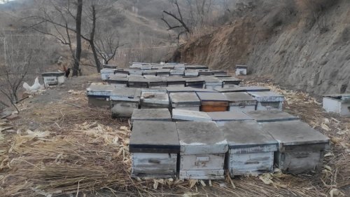 九岭蜂蜜养殖基地