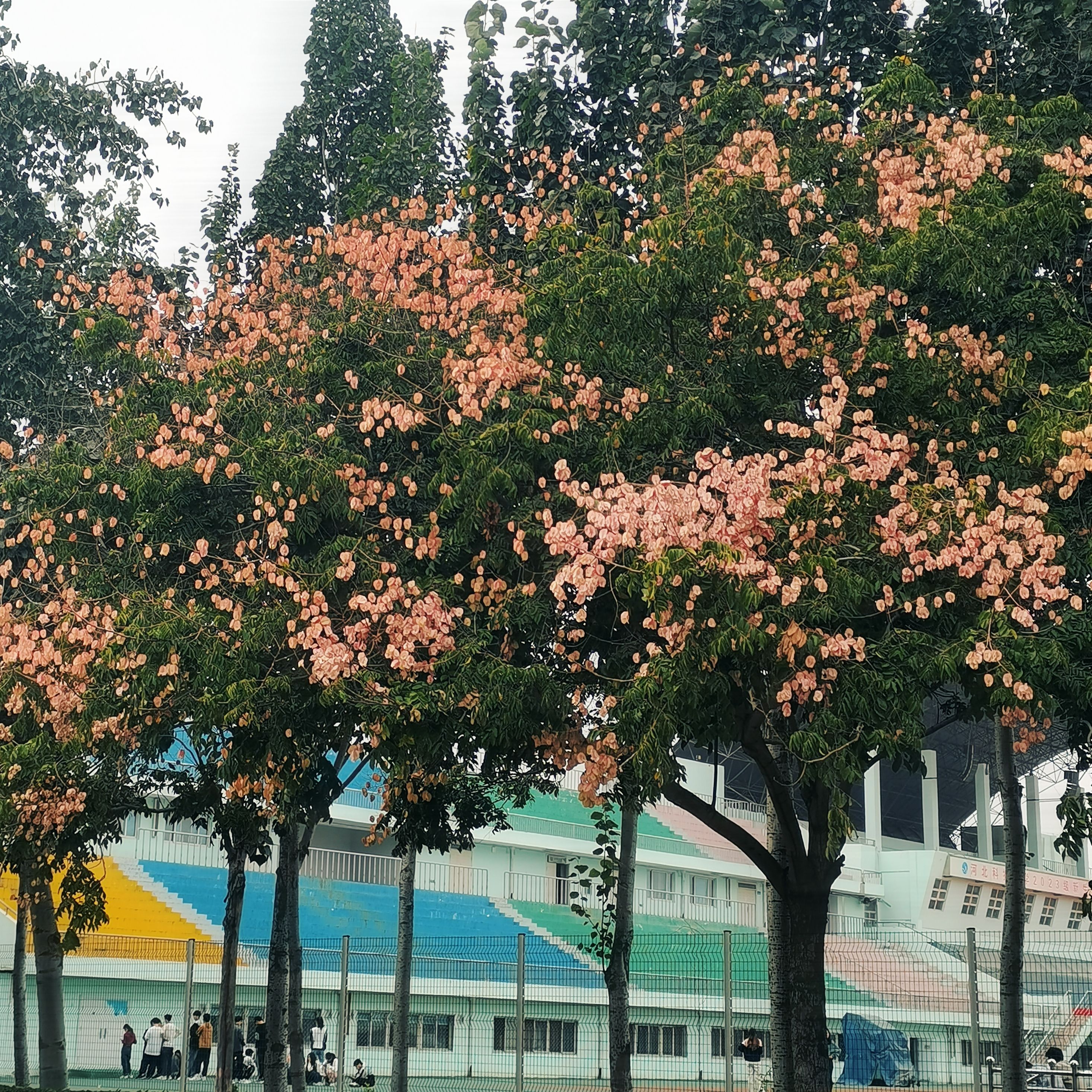 河北科技大学东体育场