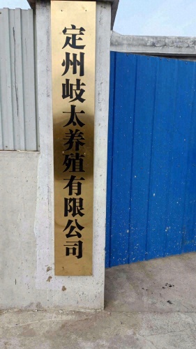 定州岐太养殖有限公司