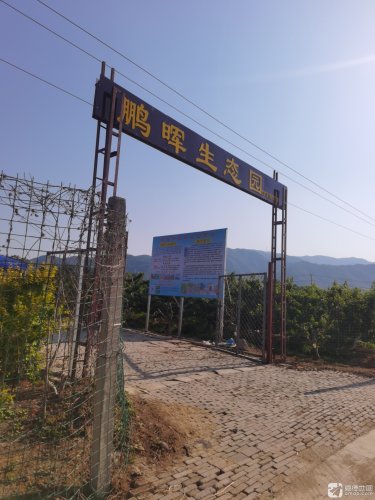 鹏晖生态园