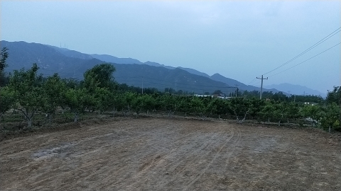 鹏晖生态园