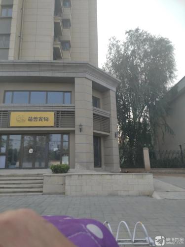 萌兽宠物诊所