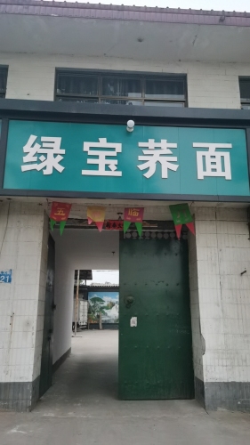 绿宝荞麦面