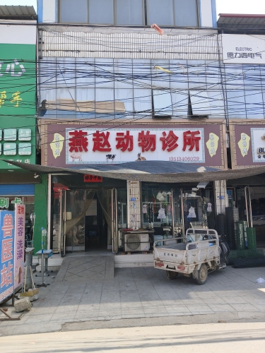燕赵动物诊所