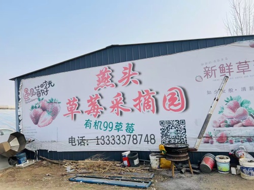行唐县燕头草莓采摘园