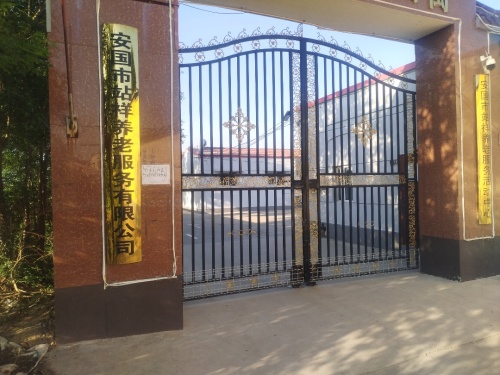 安国市站祥养老服务有限公司