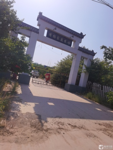 鹿泉清扬家庭农场