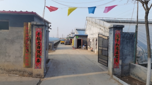 石家庄泉韵花语苗木种植基地