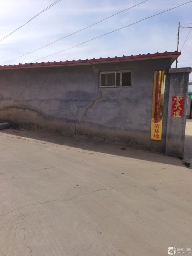 石家庄泉韵花语苗木种植基地