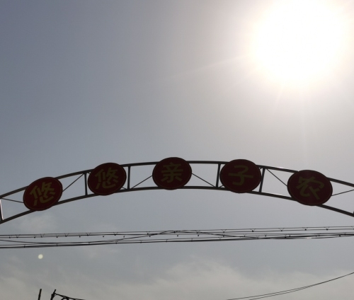 高邑县乐悠悠家庭农场
