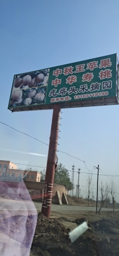疙瘩头采摘园